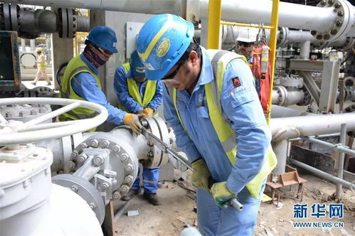 攜手共進(jìn)，開創(chuàng)未來 科威特王子與中國伙伴的戰(zhàn)略合作探索